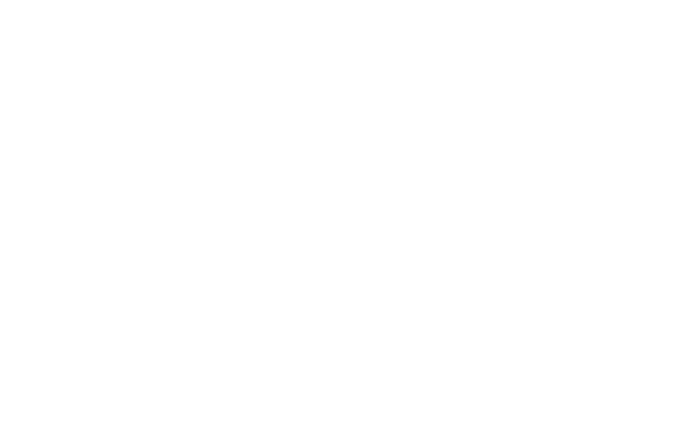 CFS Logo
