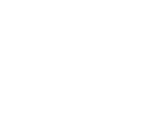 Government of South Australia Logo
